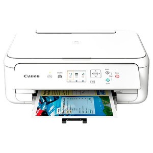 PIXMA TS5151