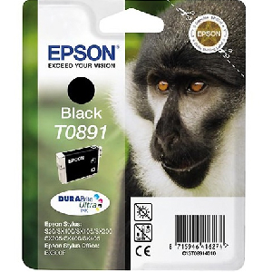 Cartucho Inkjet original C13T08914020 epson t0891 negro